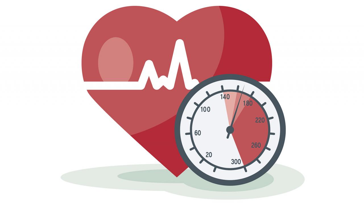 ACHTUNG ABSAGE: Herz unter Druck – Ursachen, Diagnose und Therapie des Bluthochdrucks